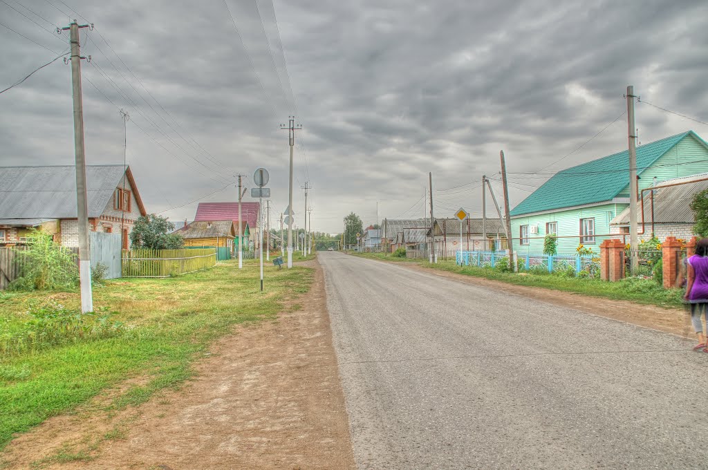 Улицы Борского.