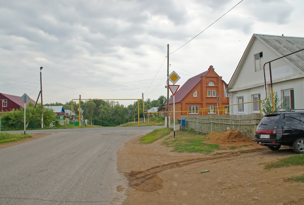 Улицы Борского.