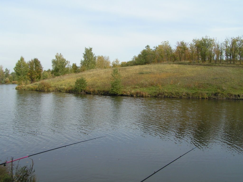 30.09.2006