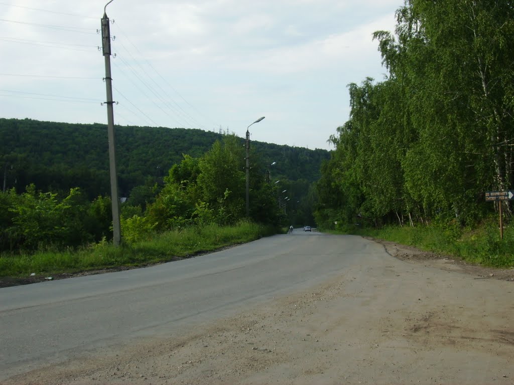 Дорога с Александровского поля