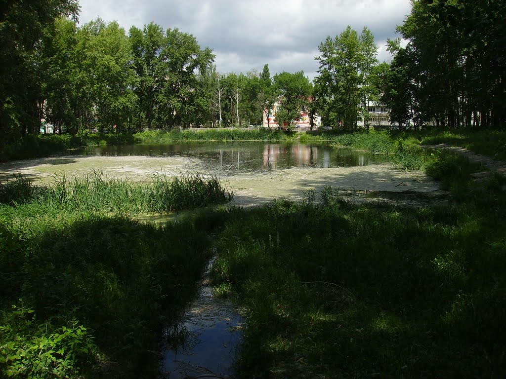 Городской пруд