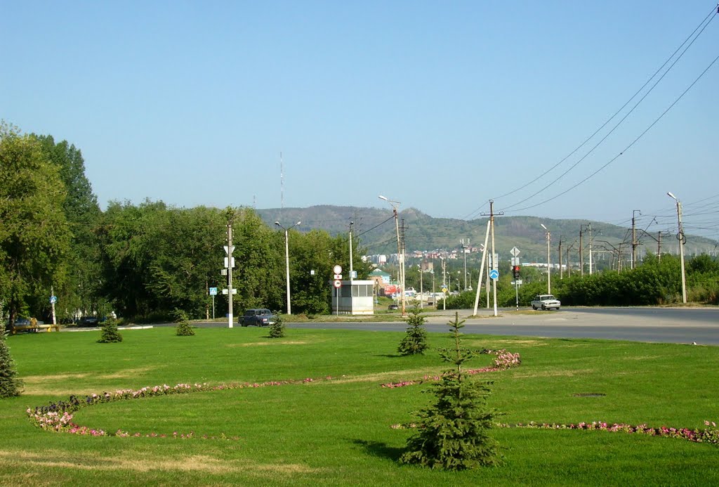 Лужайка