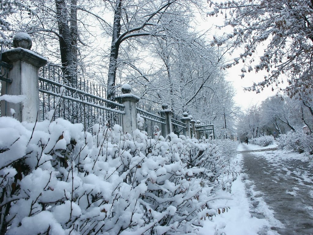 ПАРК по улице Лермонтова