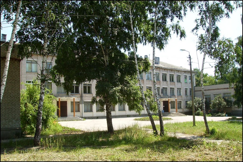 Школа №16