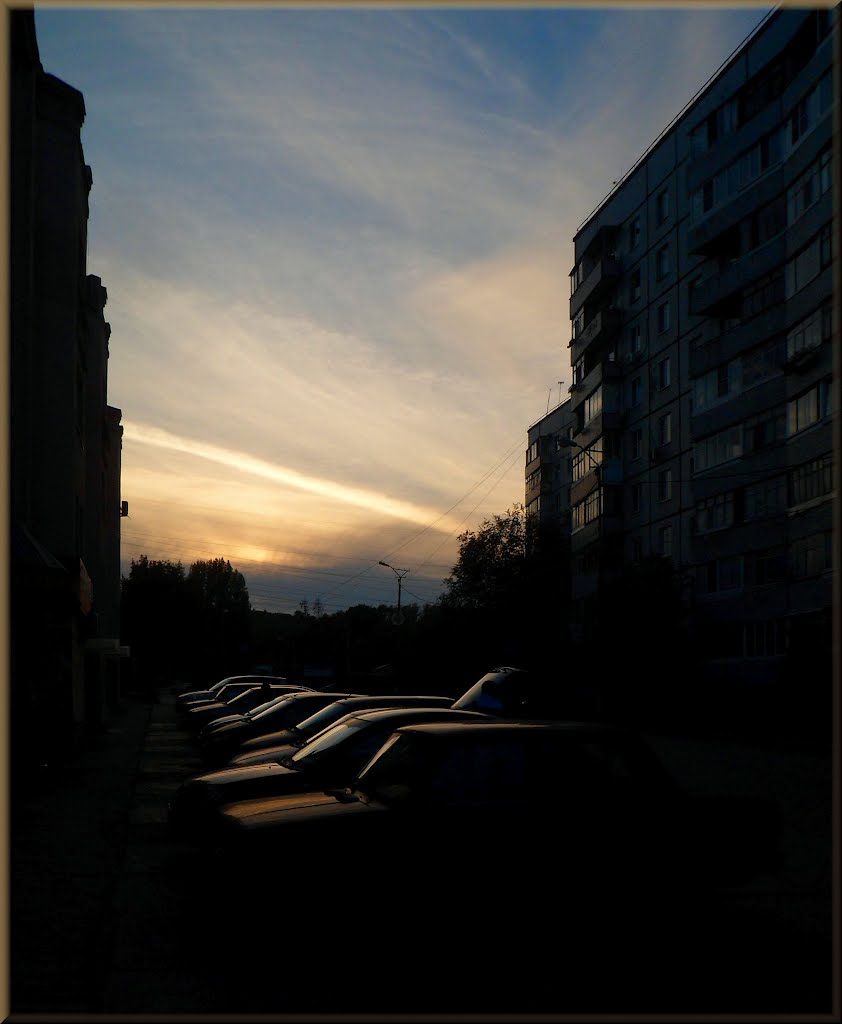 Sunset Silhouettes - Закатные силуэты