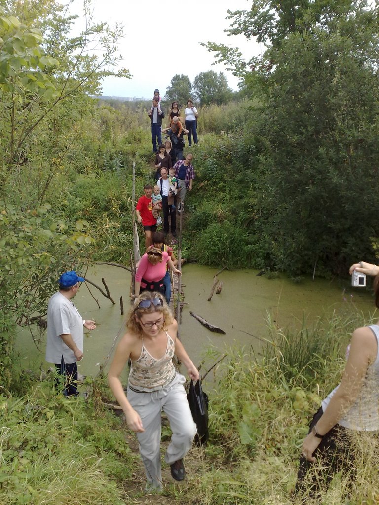 Болотная переправа