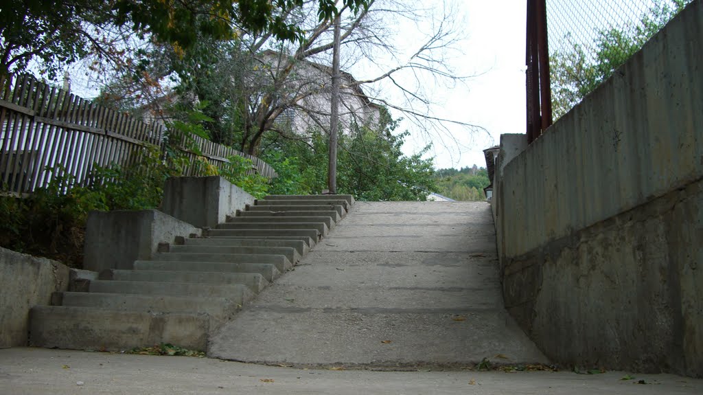 Зольное. UP