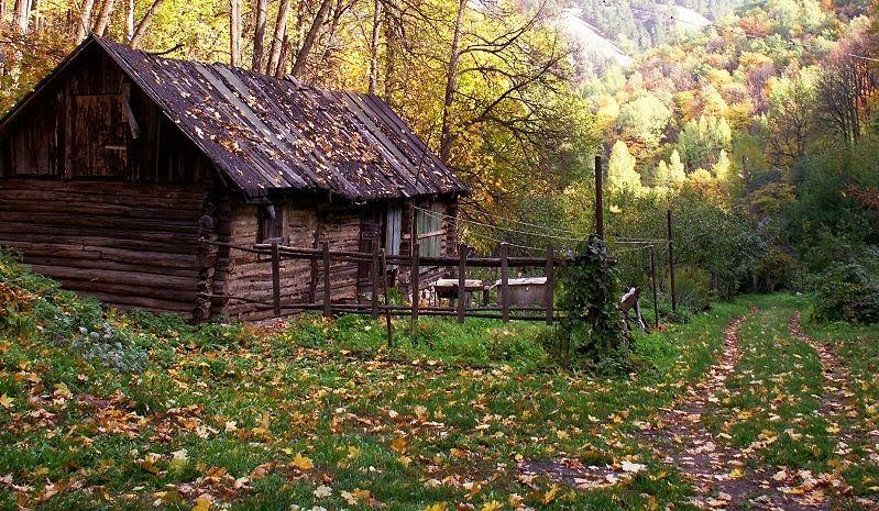 Зольное