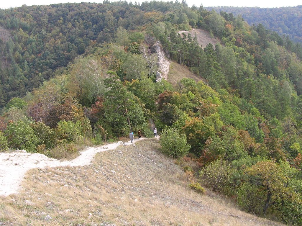 Дорога для туристов по Жигулёвским горам 2005 год
