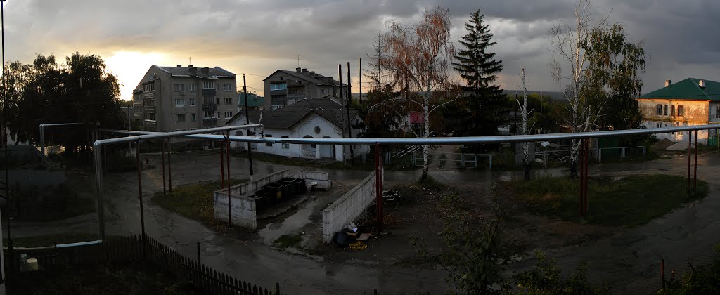 Зольное