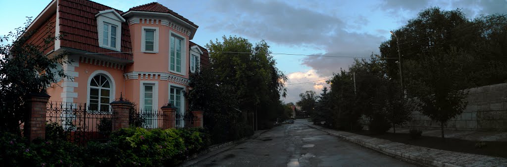 Зольное