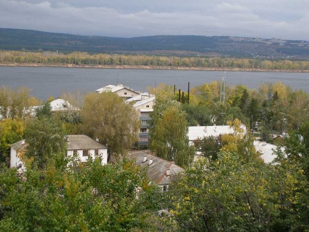 Зольное