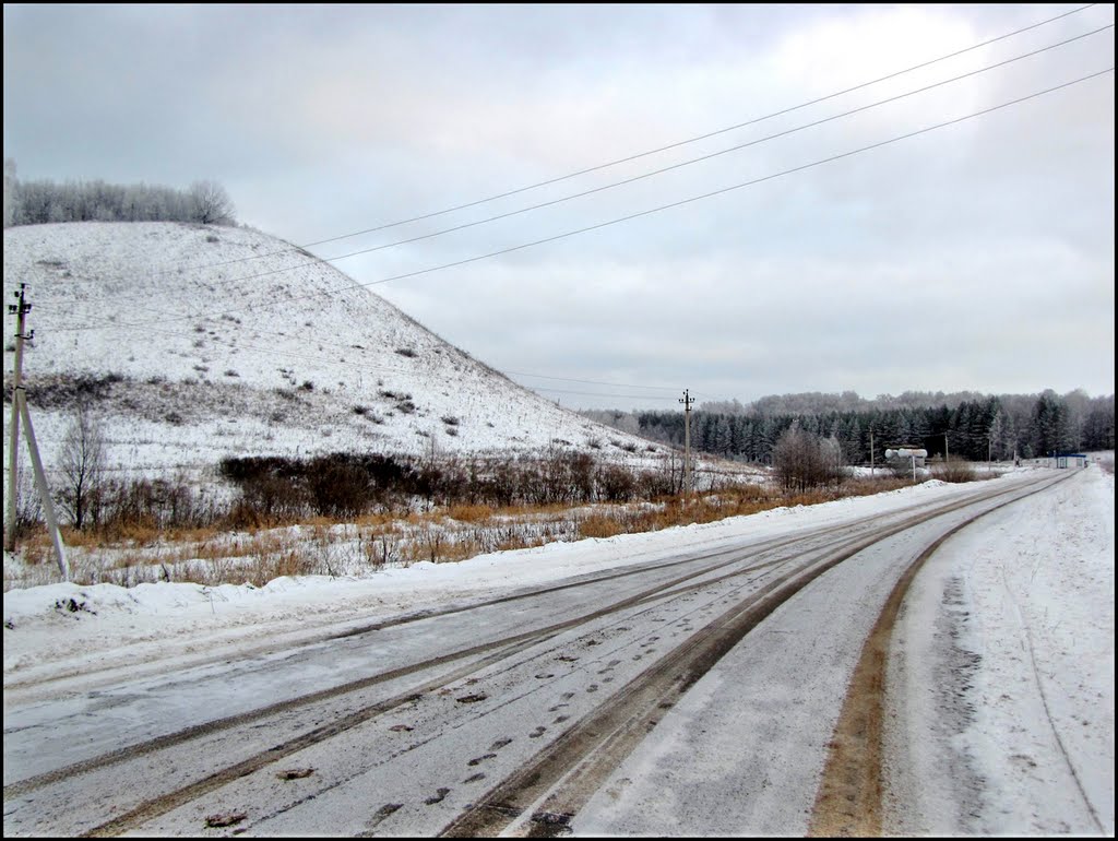 Самарская область