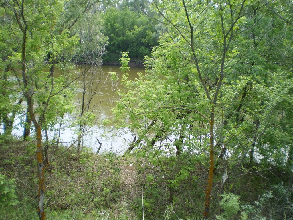 Кинель