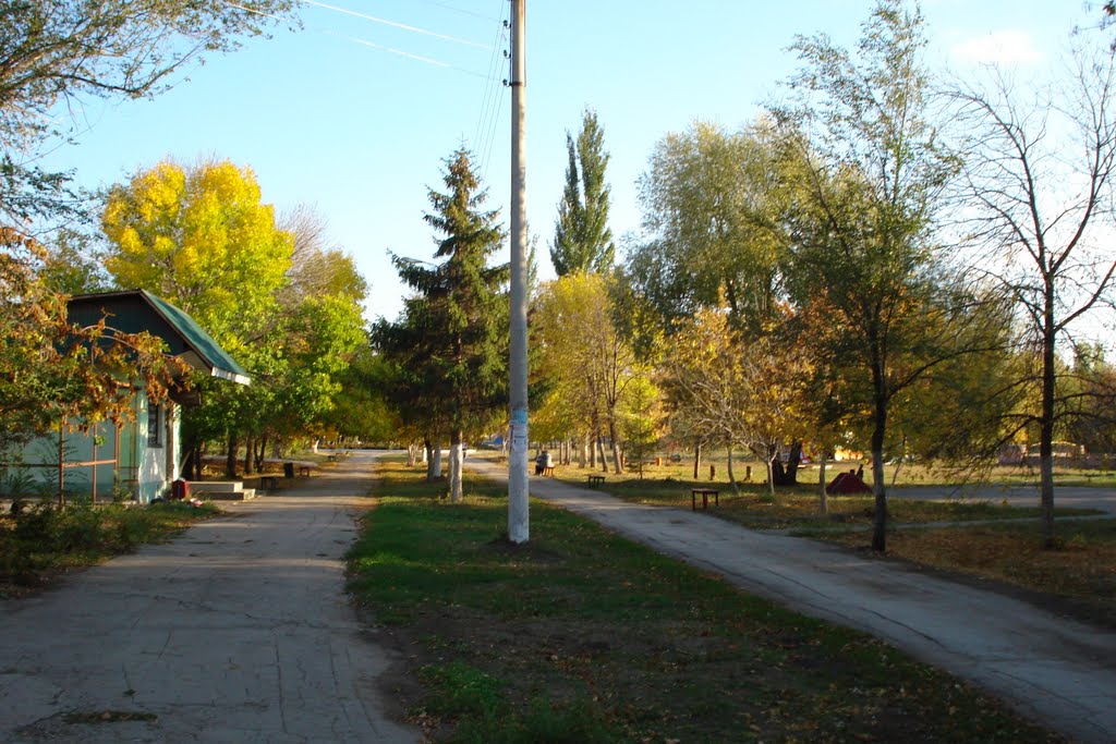 Парк в гор. Кинеле