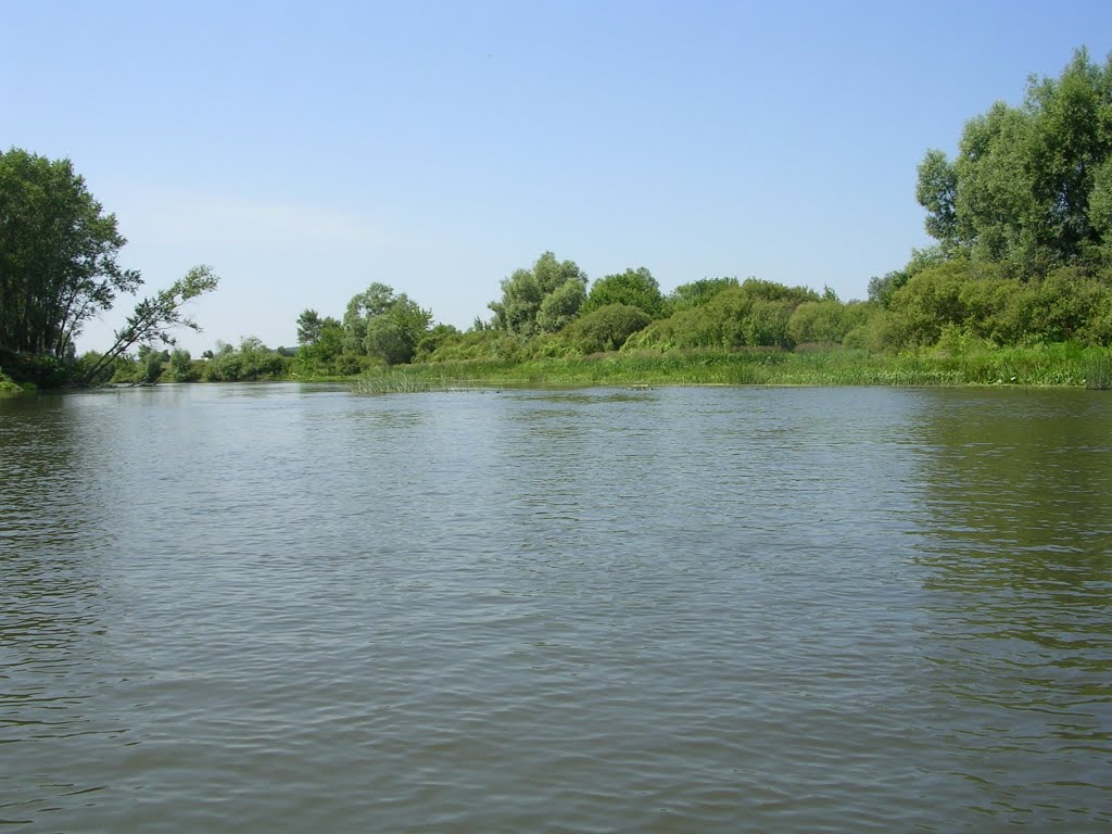 Б Кинель 2797