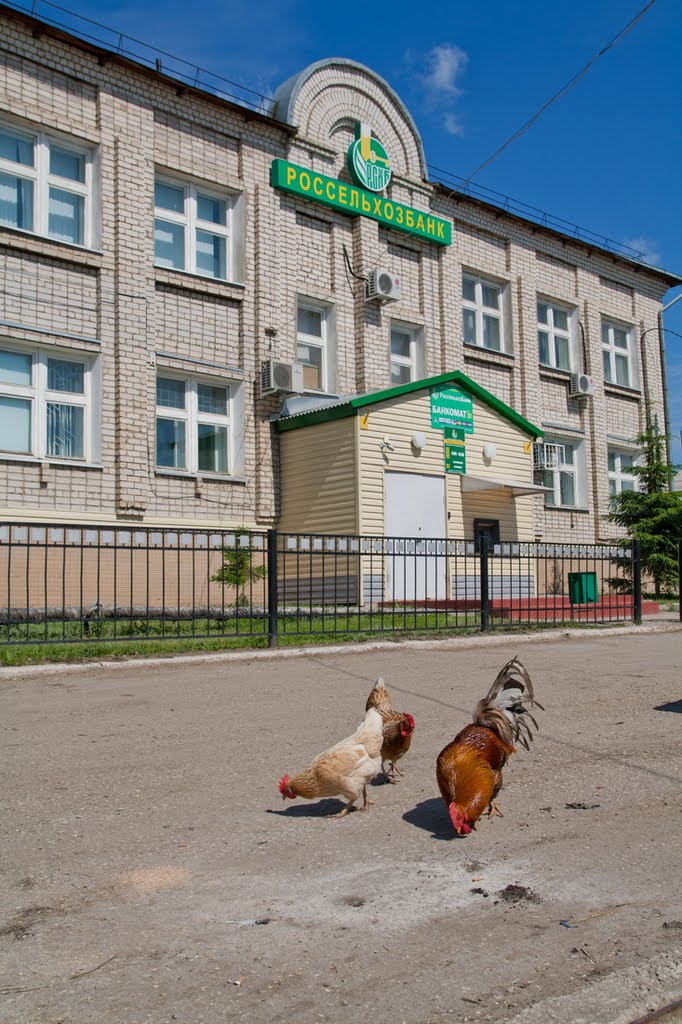 Крошки от банка