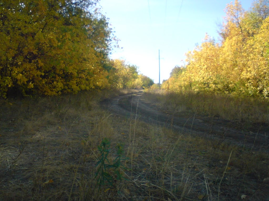 Дорога