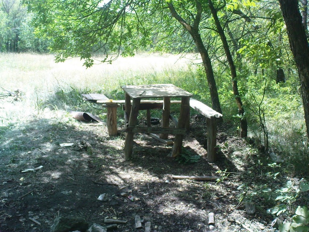 Столик в лесу