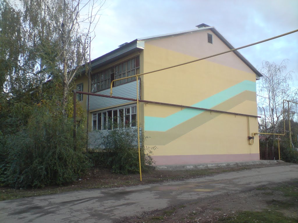 Дом на переулке Космонавтов