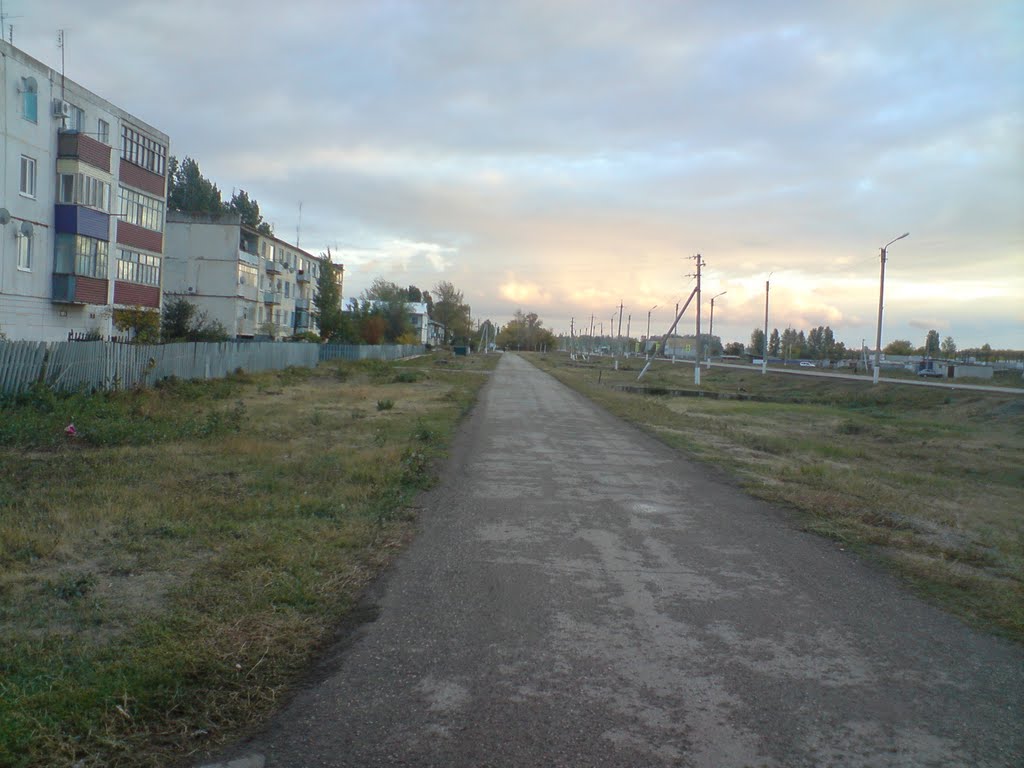 ул. Шоссейная