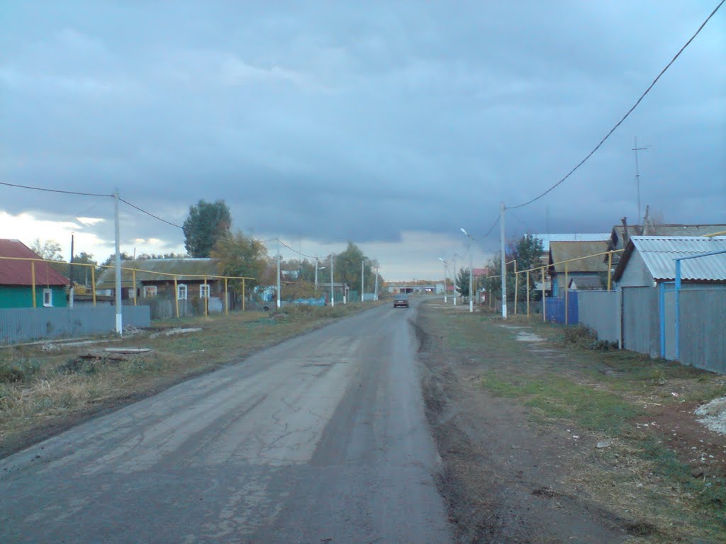 ул. Первомайская
