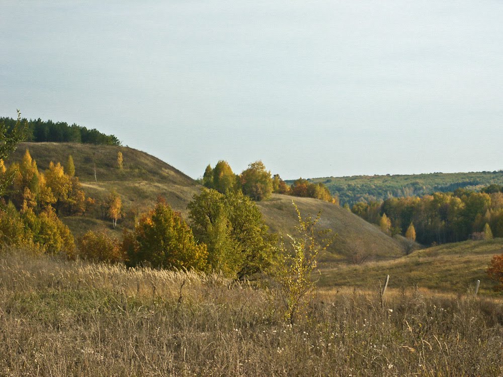 Осень. Овраги