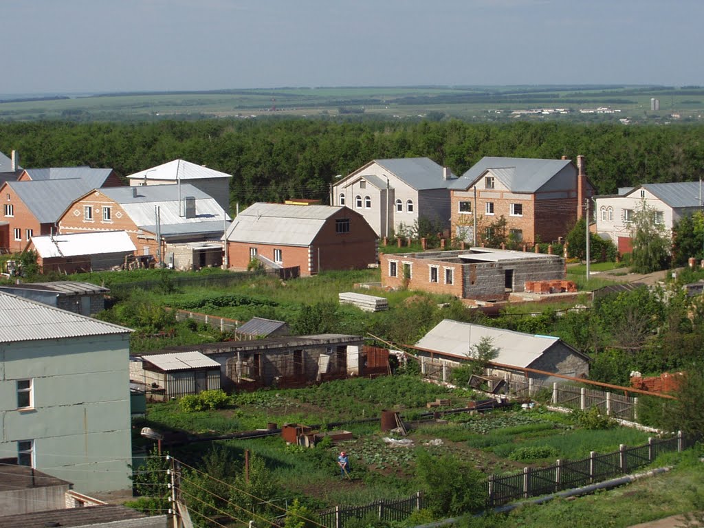 Частный сектор