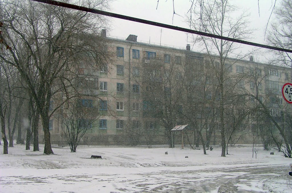 2-ой "Б" семечекин стакан