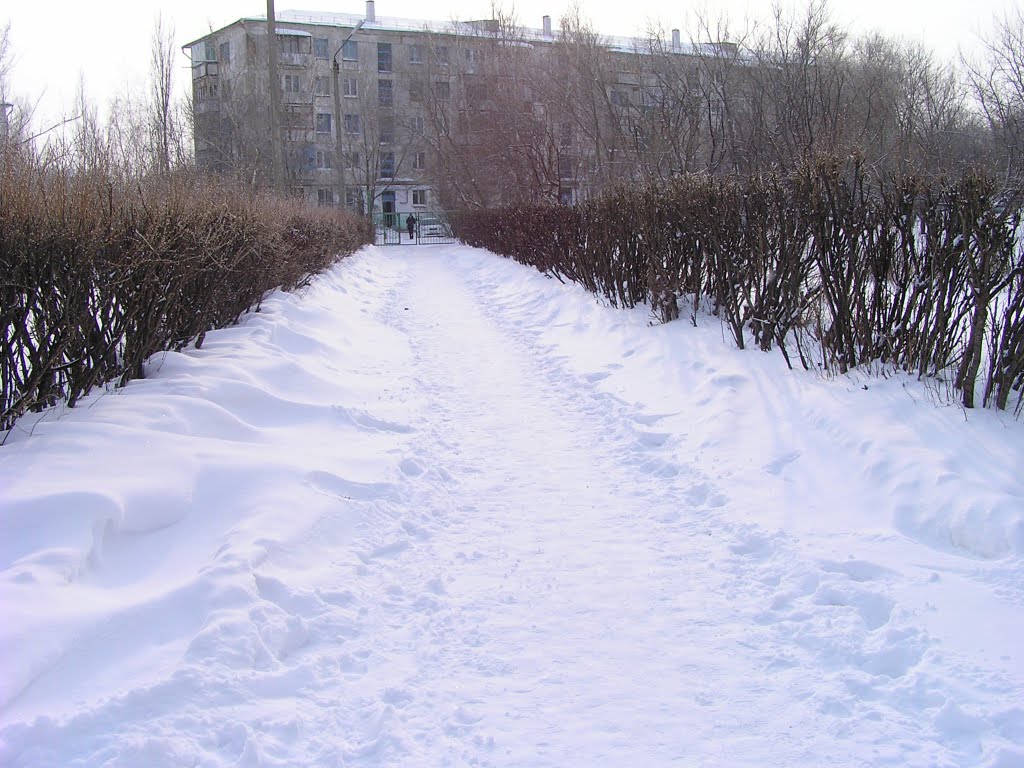 Территория НСШ №3
