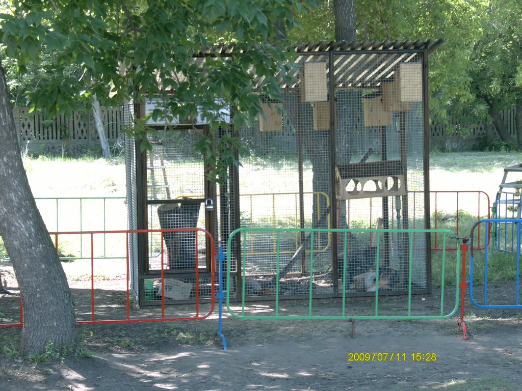 Беличий вольер в парке "Дубки"