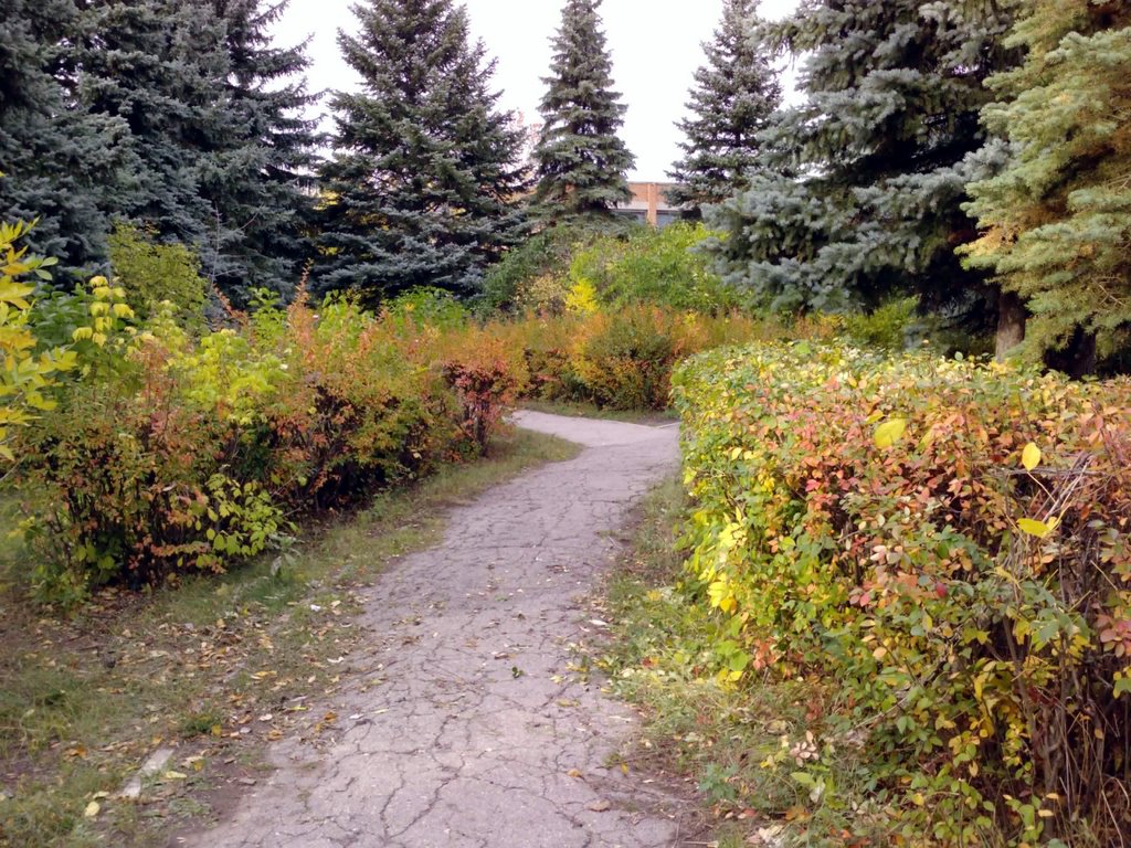 Парк около Трест-25