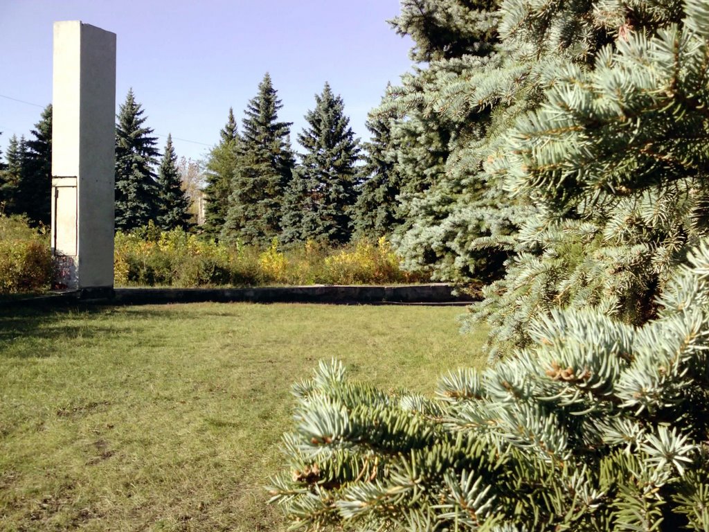 Парк около Трест-25