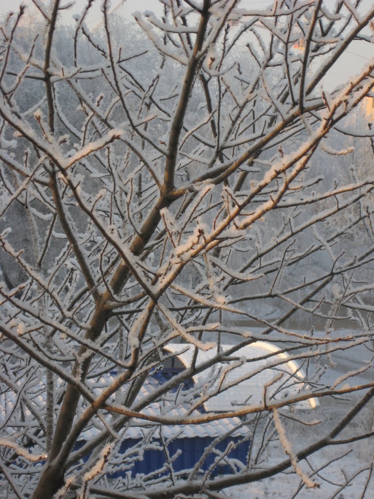 winter