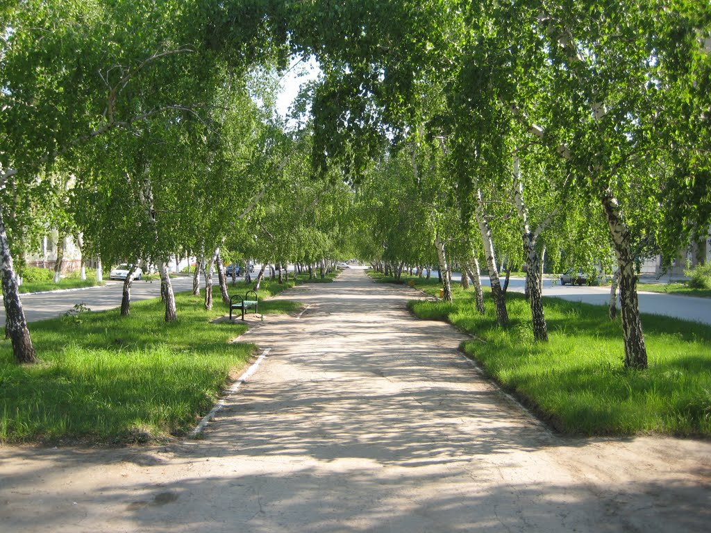 Аллея по ул. Островского весной