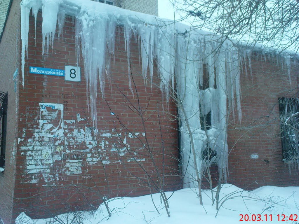 20.03.2011