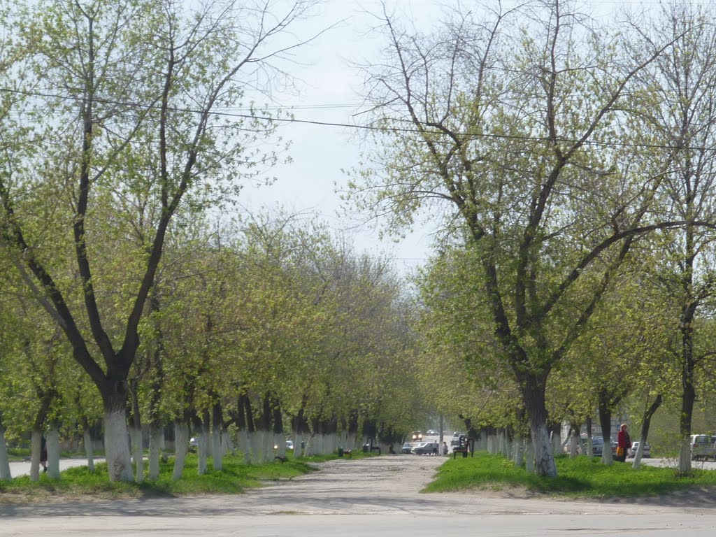 ул. Гагарина