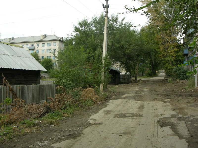 Parkovij lane