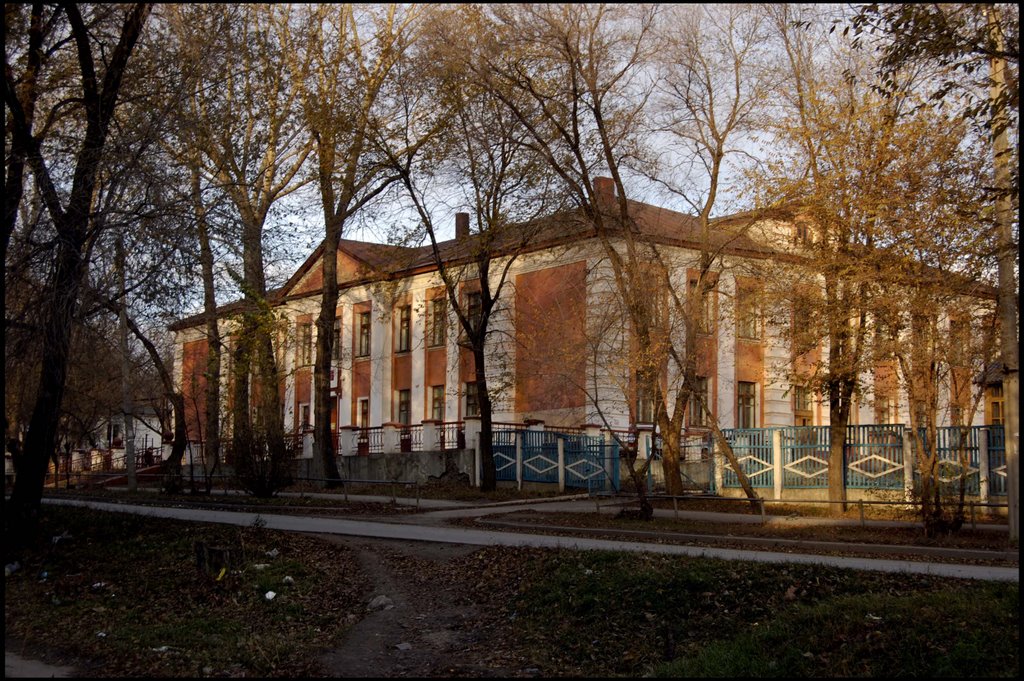 School no. 8