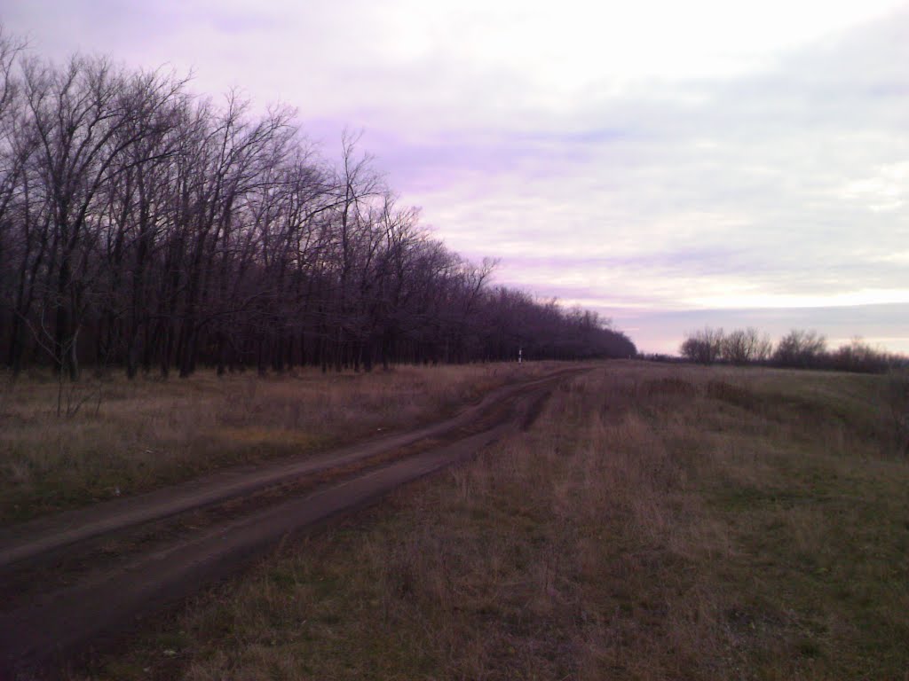 лесополоса