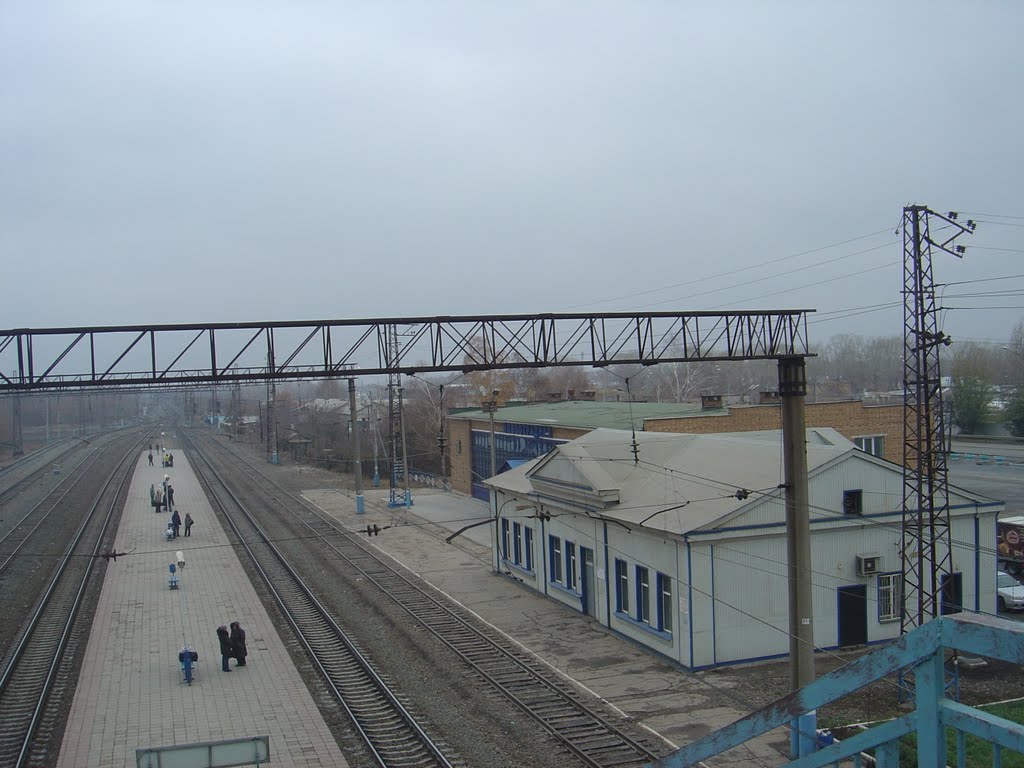 Станция Новоотрадная вид с моста