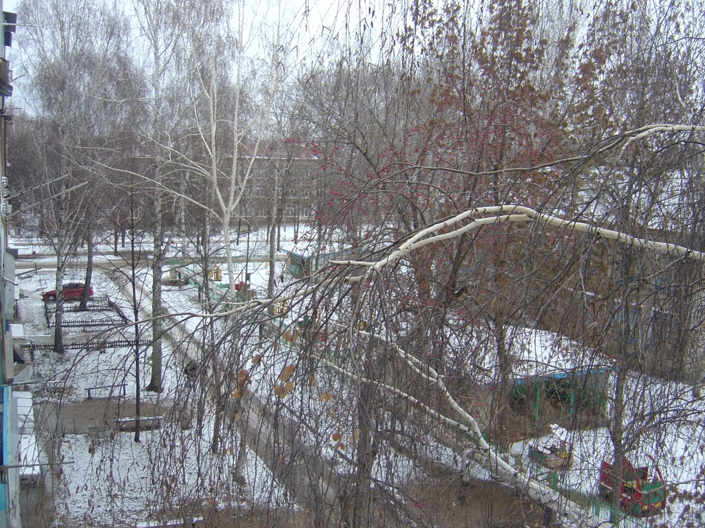 Вид из окна на Ул.Отрадной 10
