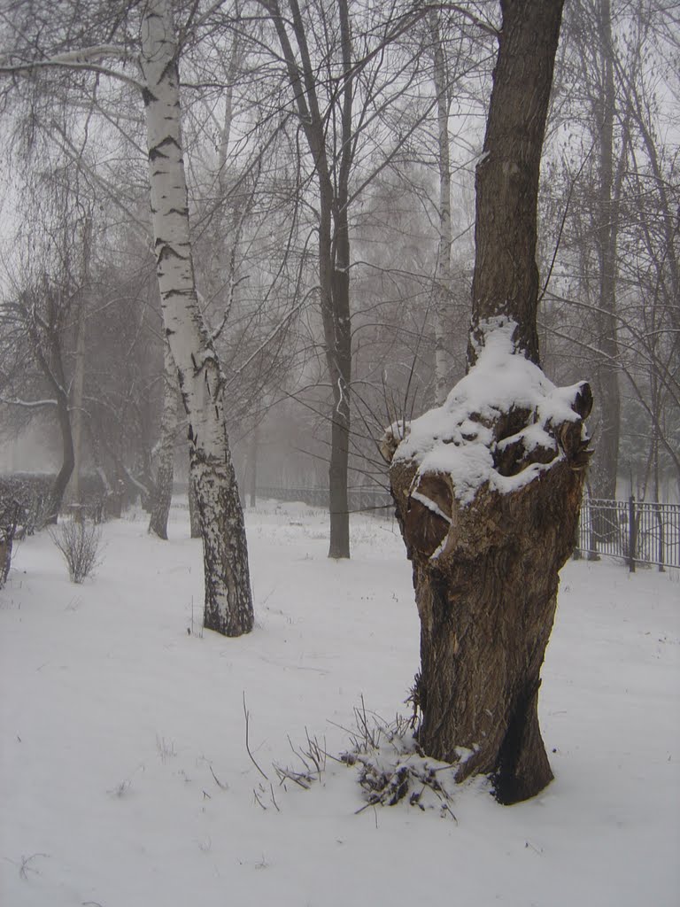 Первый снег
