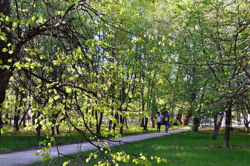 Городской парк г. Отрадный
