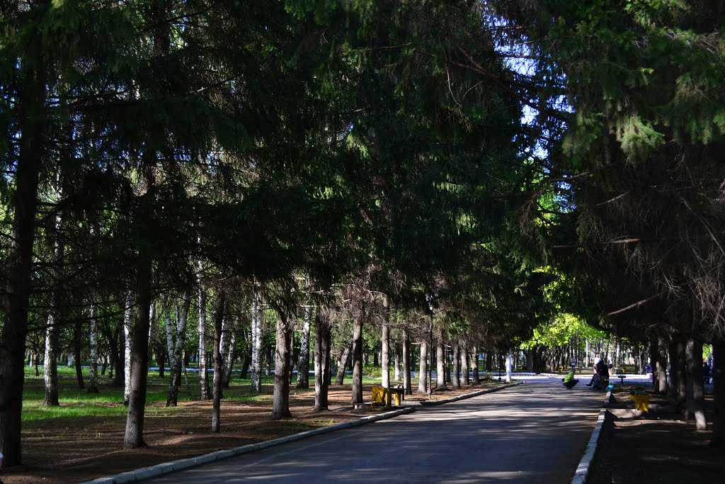 Городской парк г. Отрадный