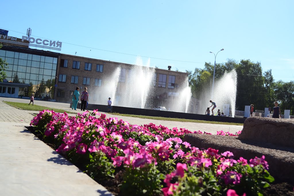 Площадь г. Отрадный