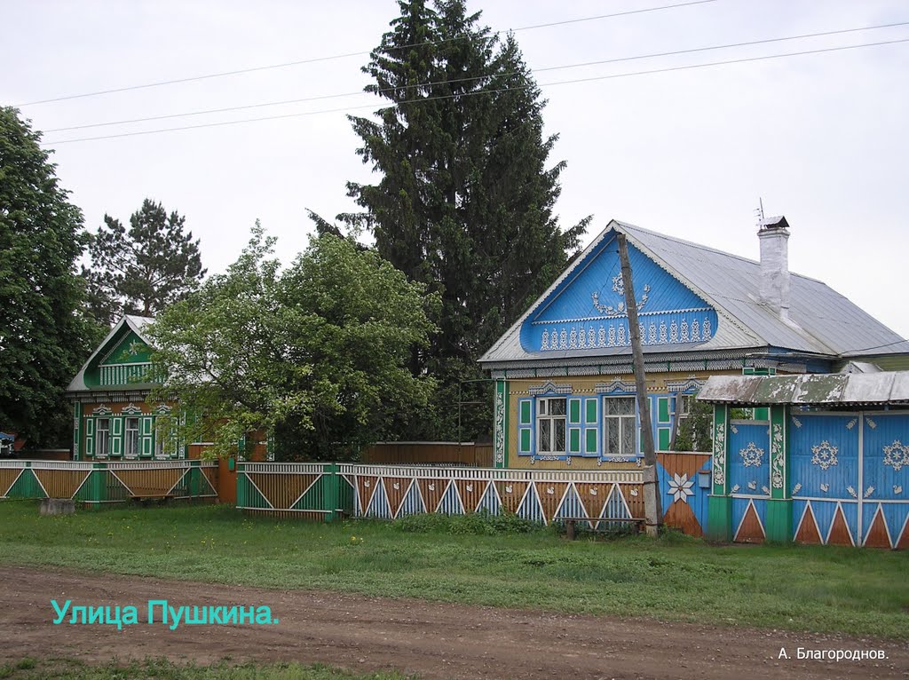 Улица Пушкина.
