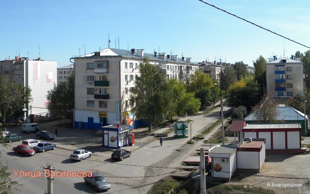 Похвистнево. Ул. Васильева.