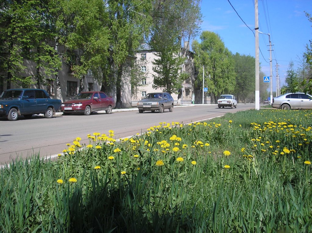 Улица Куйбышева.