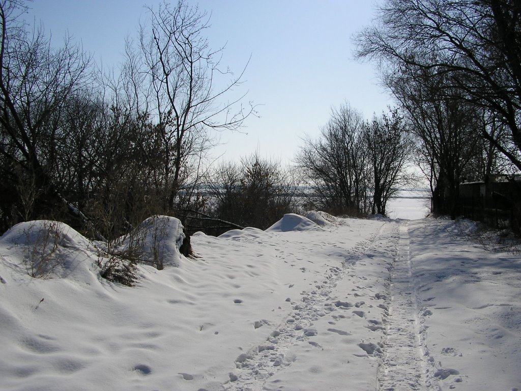 Тропа к реке